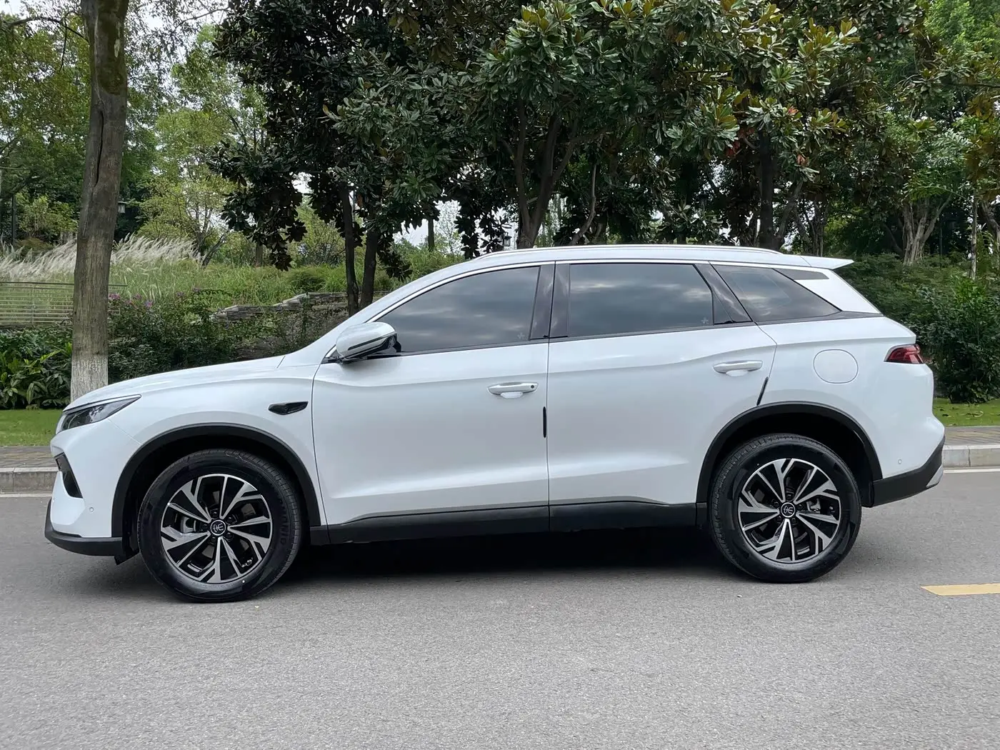 BYD Song Pro New Energy 2025 — Фото 4/20