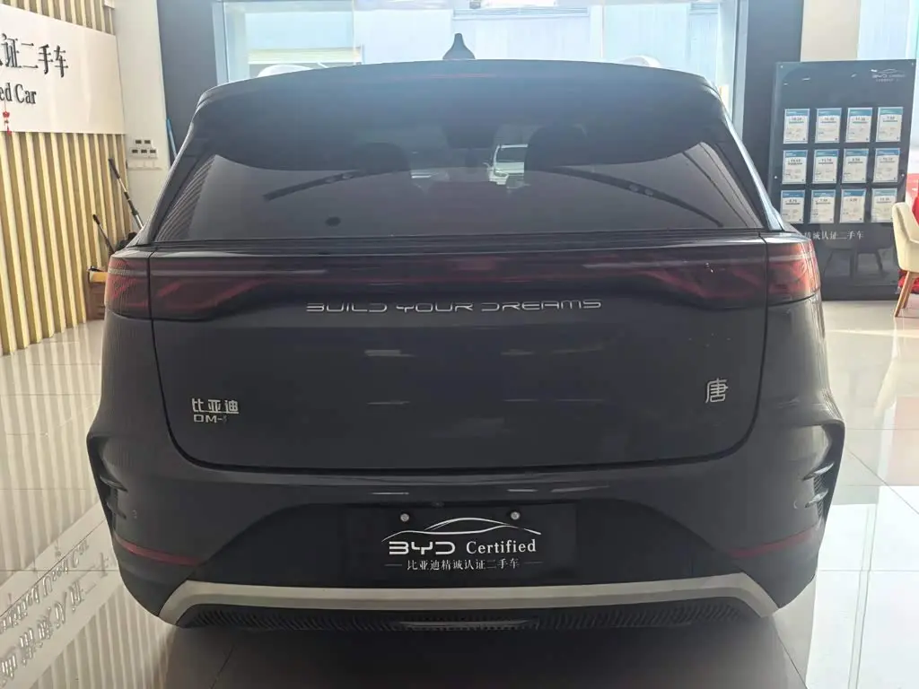 BYD Tang New Energy 2024 — Photo 11/13