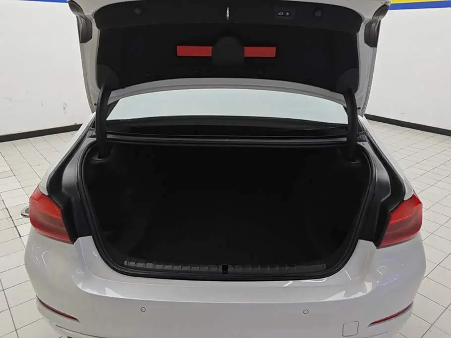 BMW 5 Series 2019 — ფოტო 4/16