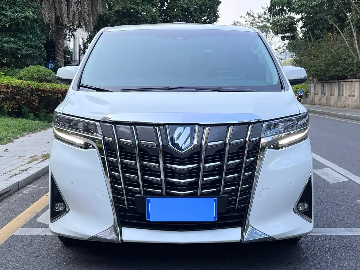 Toyota Alphard 2021 — Photo 2/20