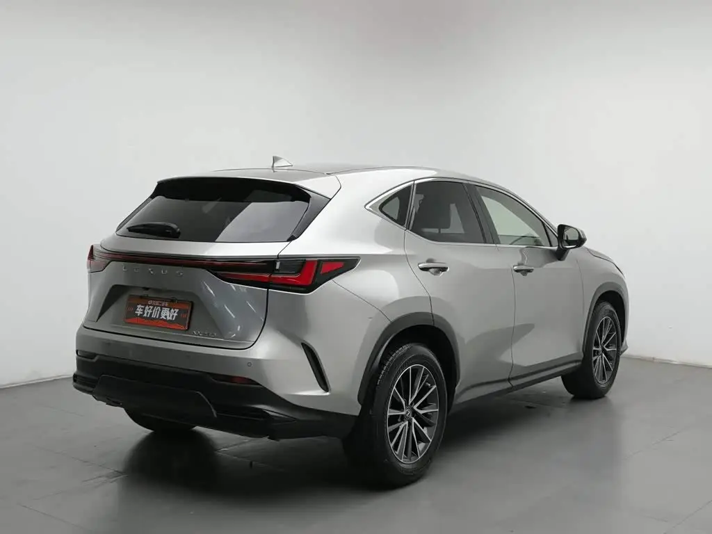 Lexus NX 2022 — Photo 2/20