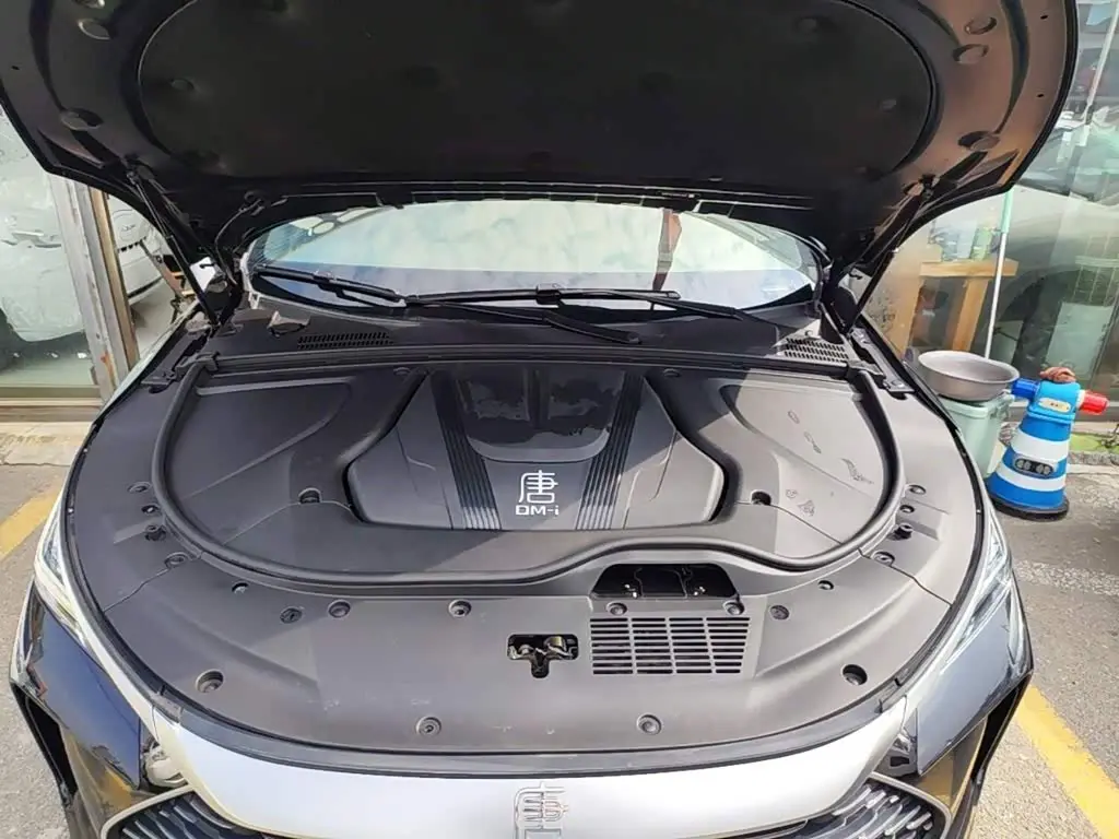 BYD Tang New Energy 2024 — Photo 20/20