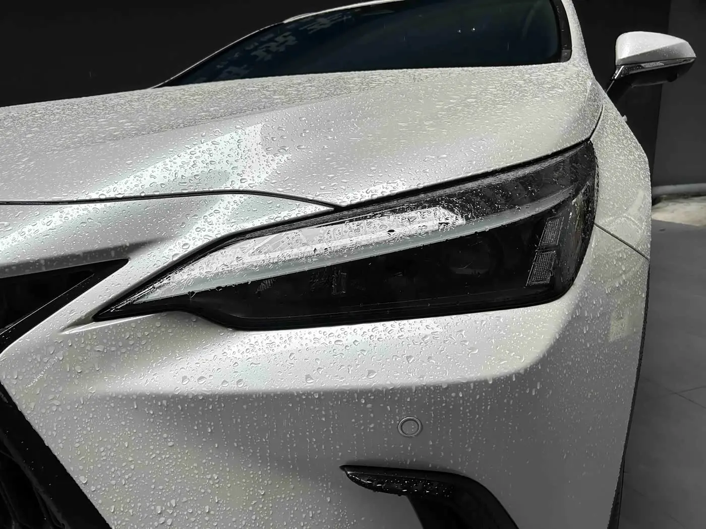 Lexus NX 2024 — Photo 2/20