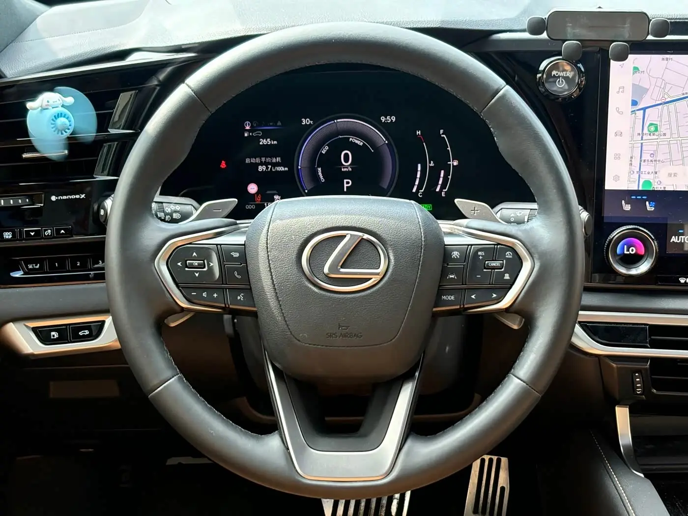 Lexus RX 2024 — Фото 10/13