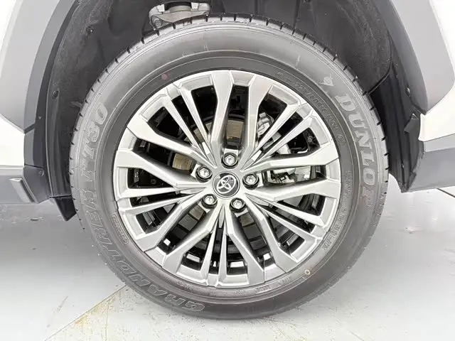 Toyota Wildlander 2024 — Фото 15/15