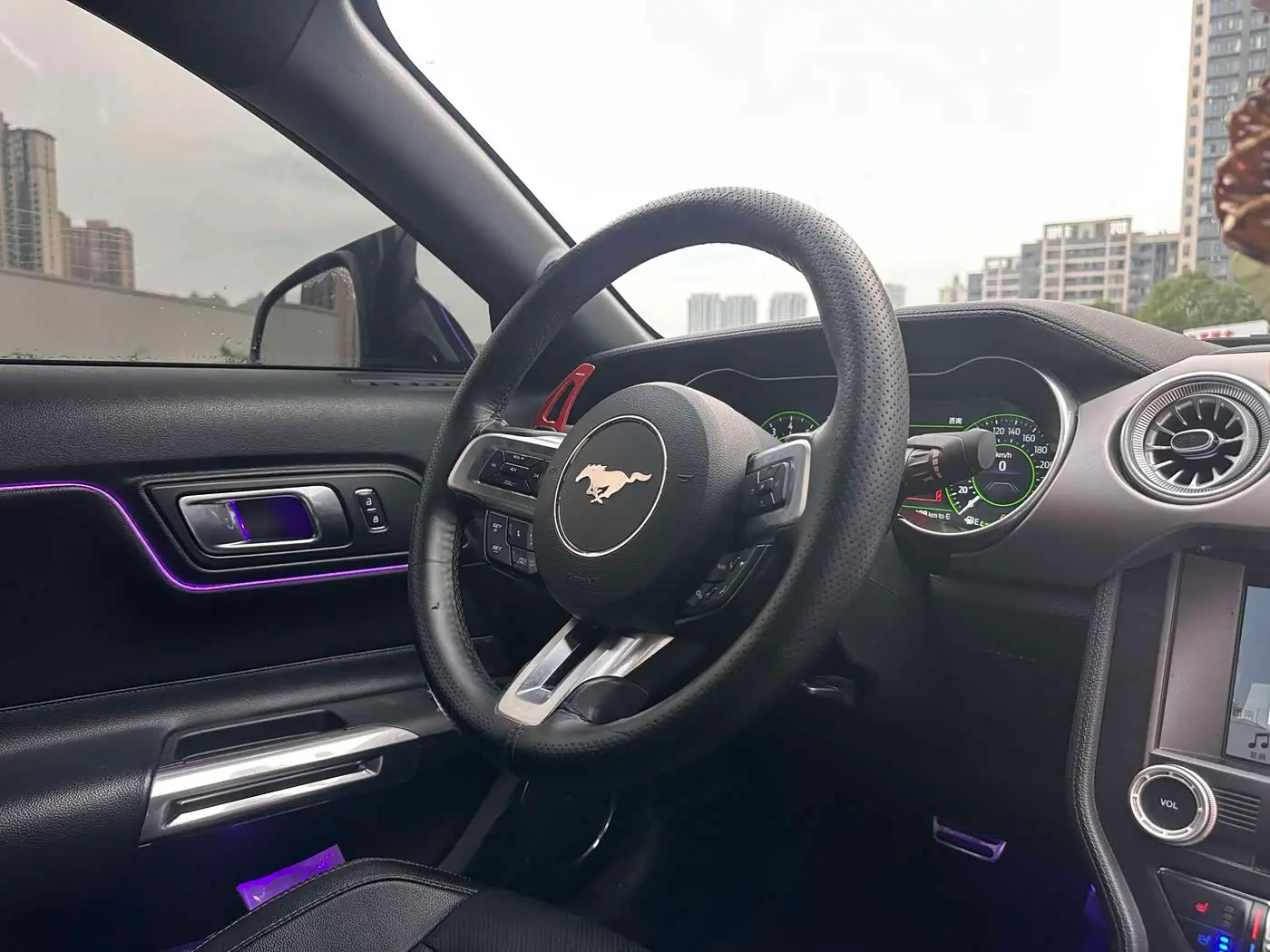 Ford Mustang 2018 — ფოტო 4/9
