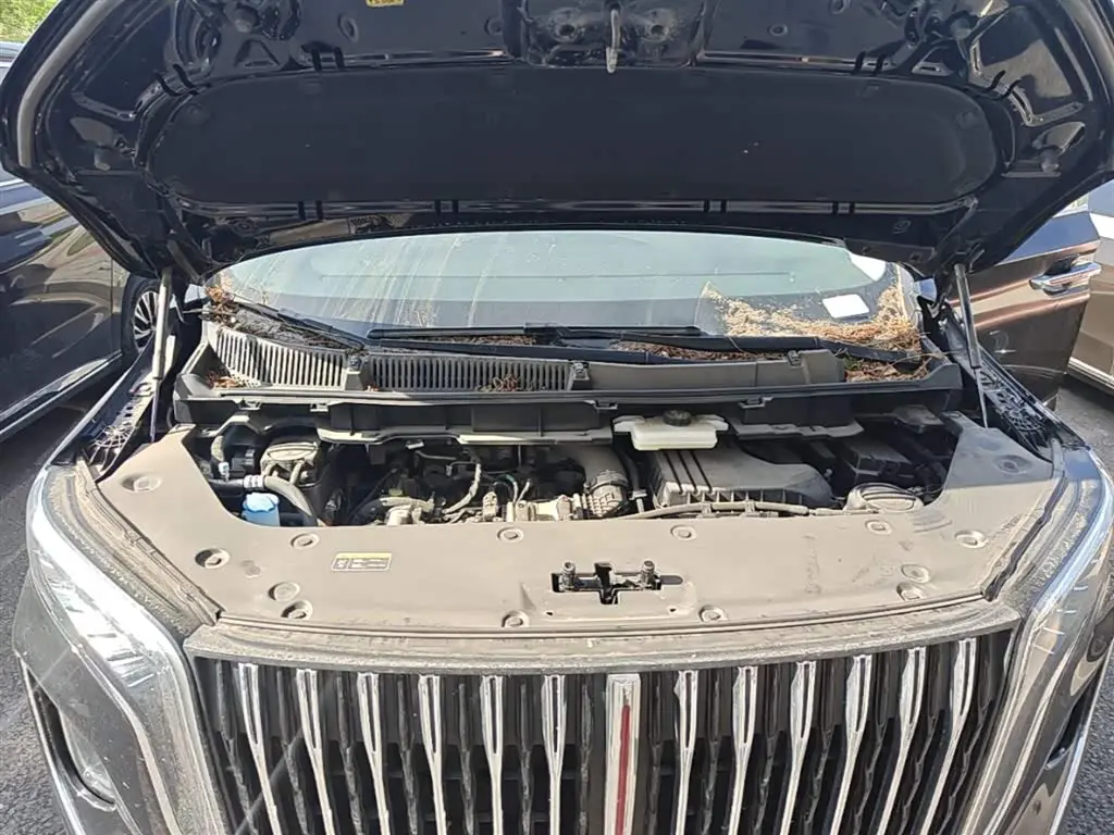 Hongqi HQ9 PHEV 2024 — Photo 20/20