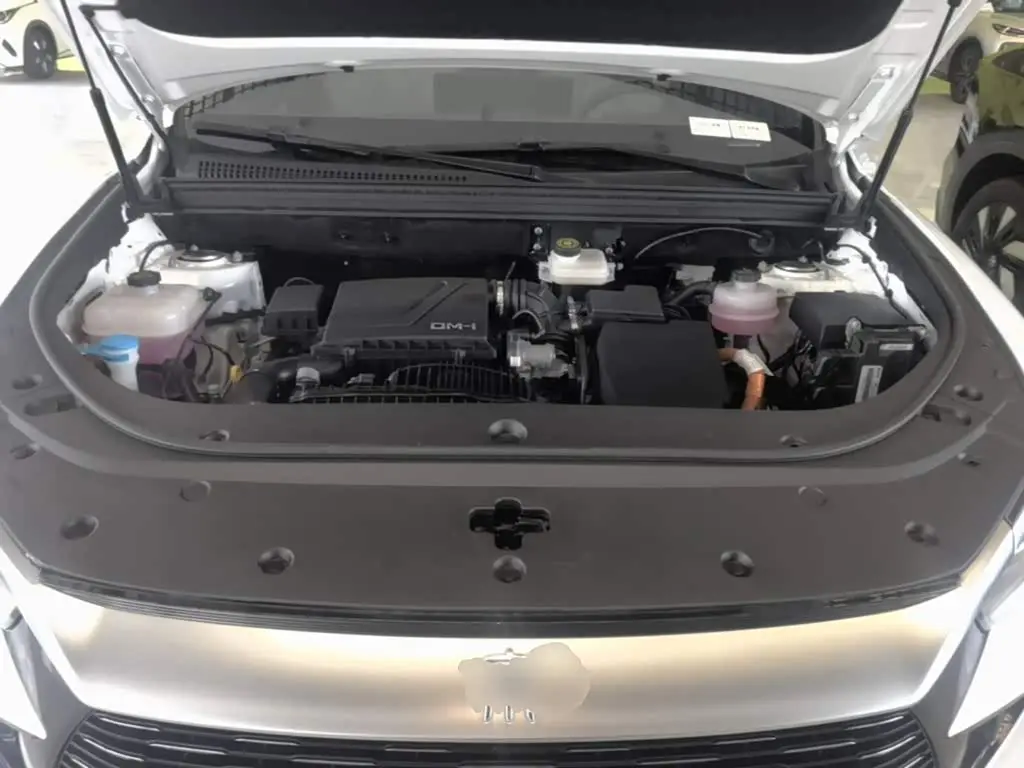 BYD Song Pro New Energy 2024 — Şəkil 20/20