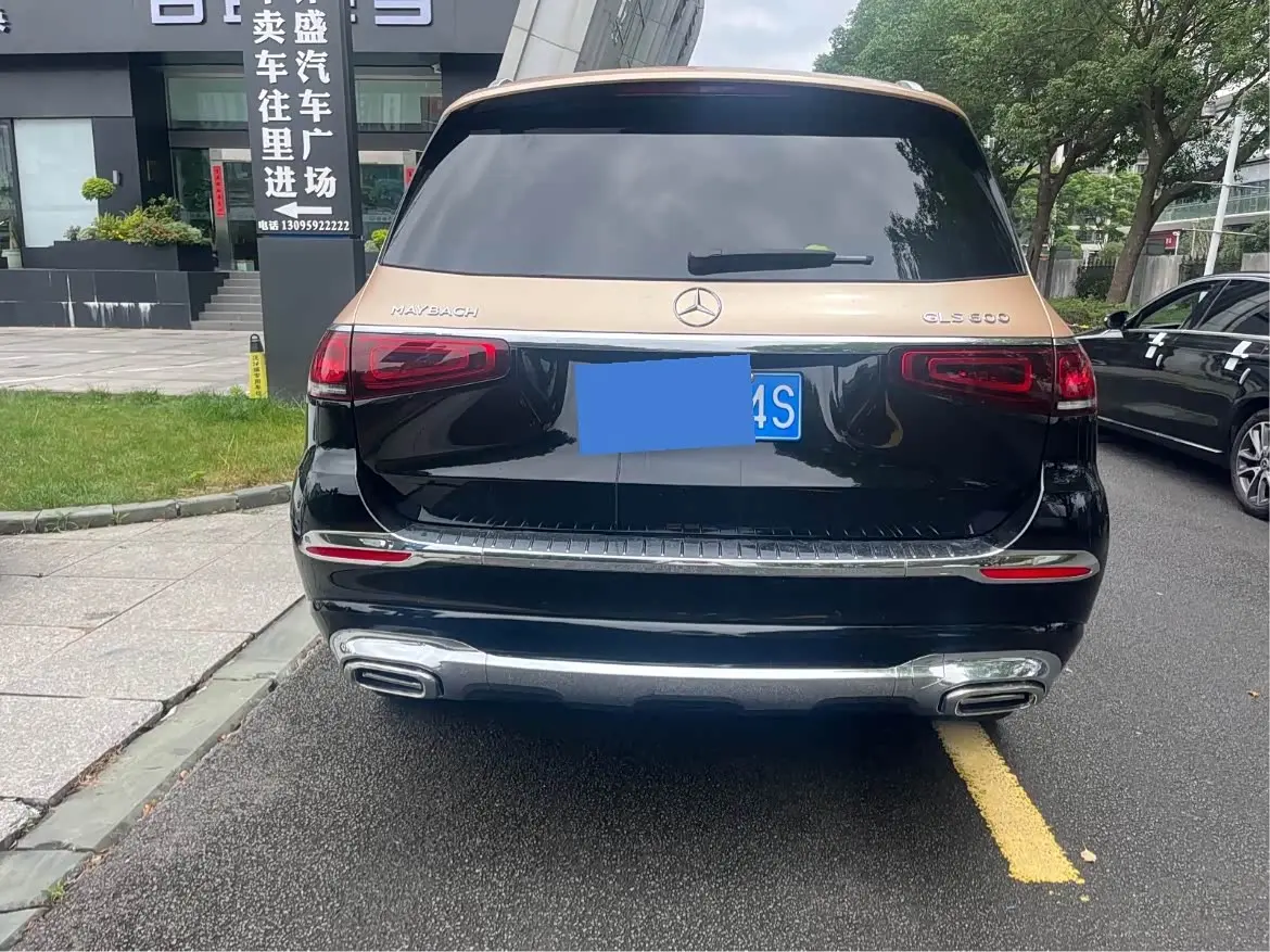 Mercedes-Benz GLS 2022 — Photo 11/12