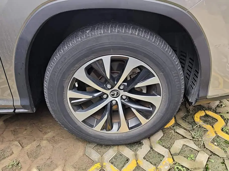 Lexus RX 2022 — Şəkil 6/16