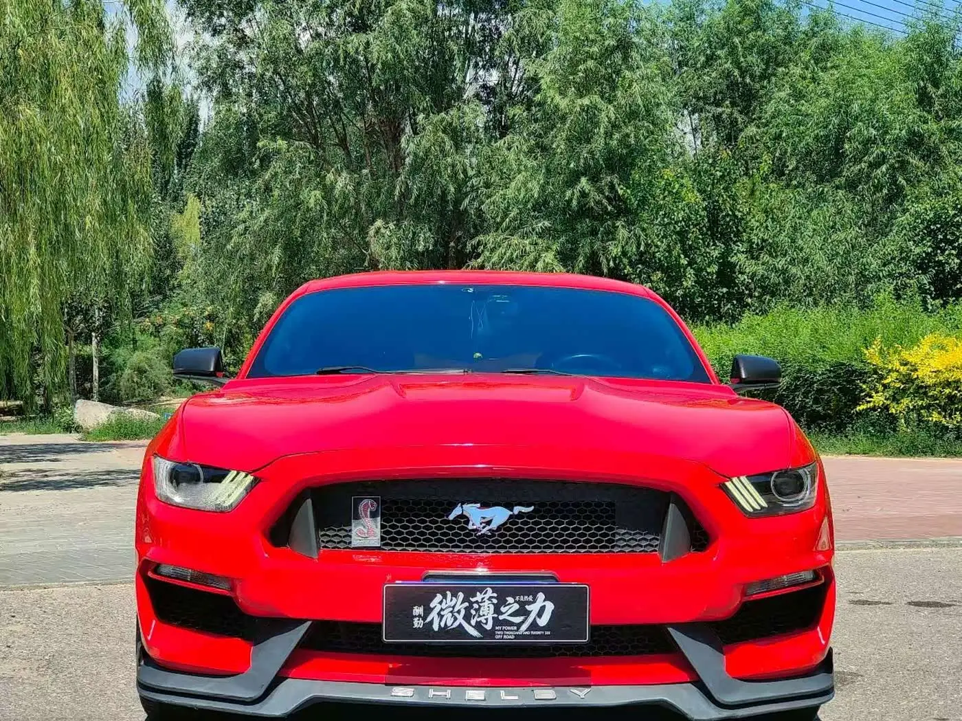 Ford Mustang 2017 — Şəkil 2/9