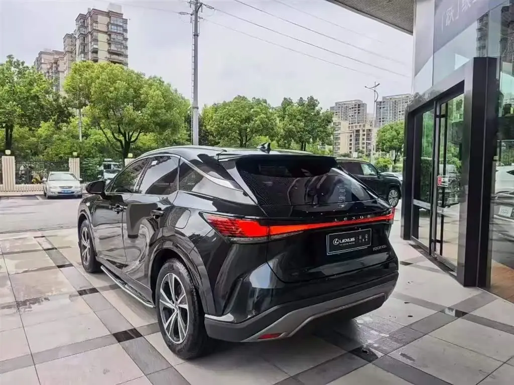 Lexus RX 2024 — Photo 7/9