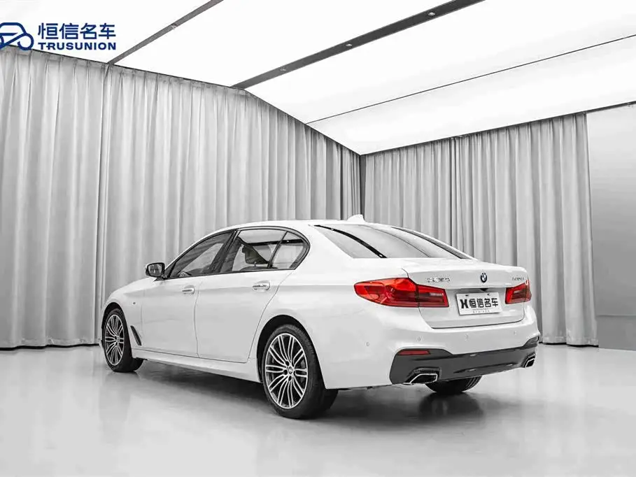 BMW 5 Series 2019 — Photo 7/20