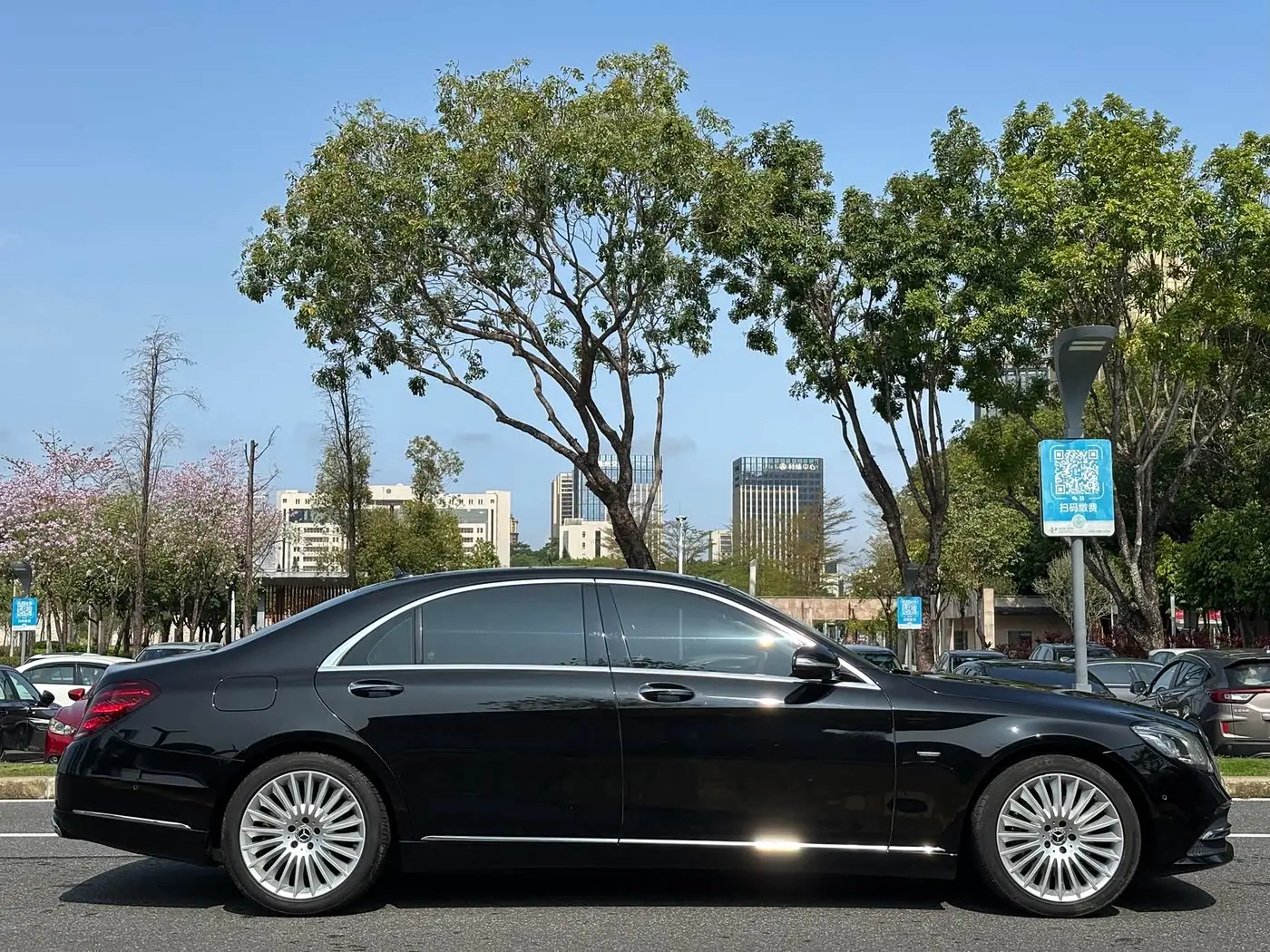 Mercedes-Benz S-Class 2020 — Photo 15/16