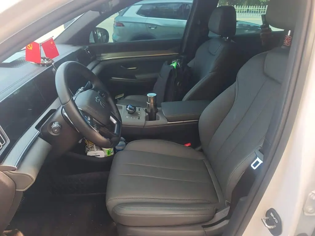 BYD Song Pro New Energy 2025 — Photo 11/20