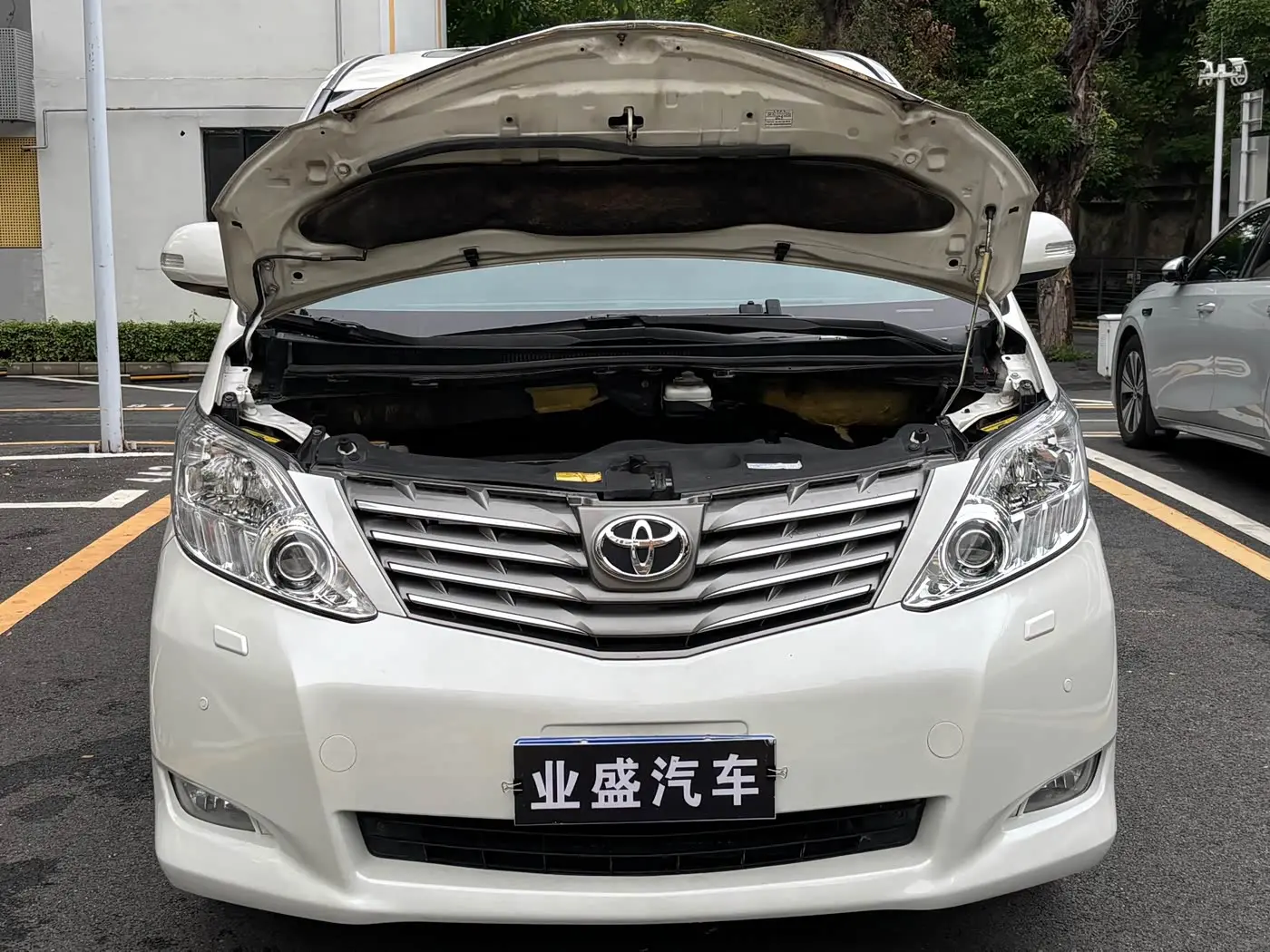 Toyota Alphard 2010 — Photo 14/14