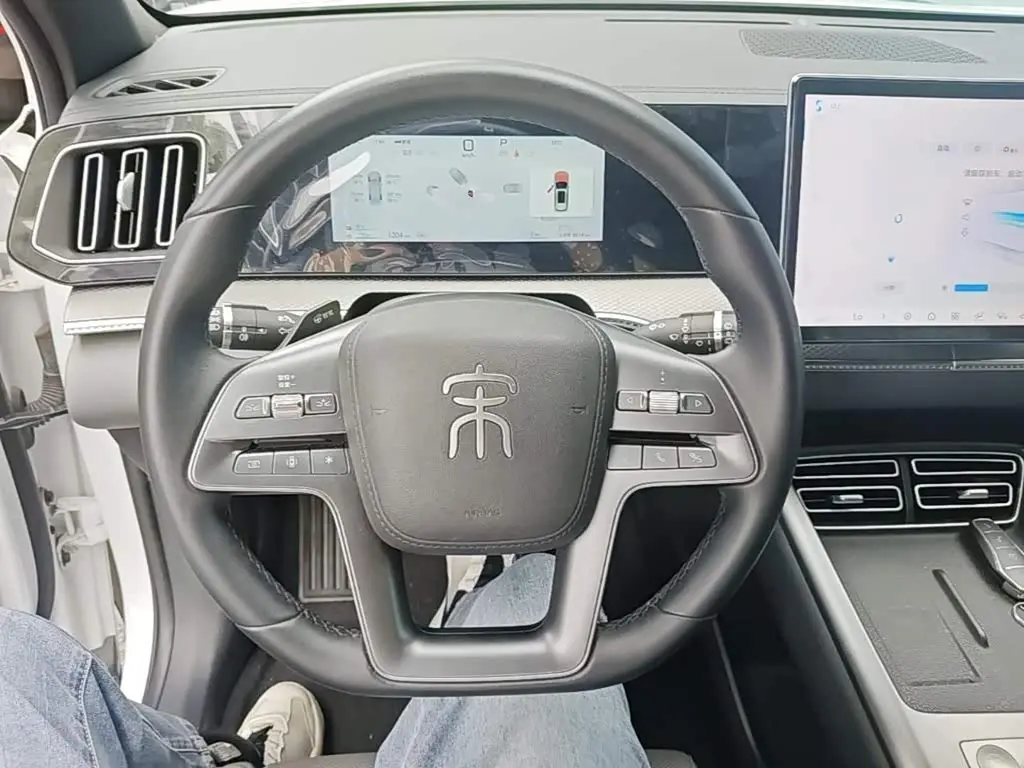 BYD Song Pro New Energy 2025 — Photo 11/20