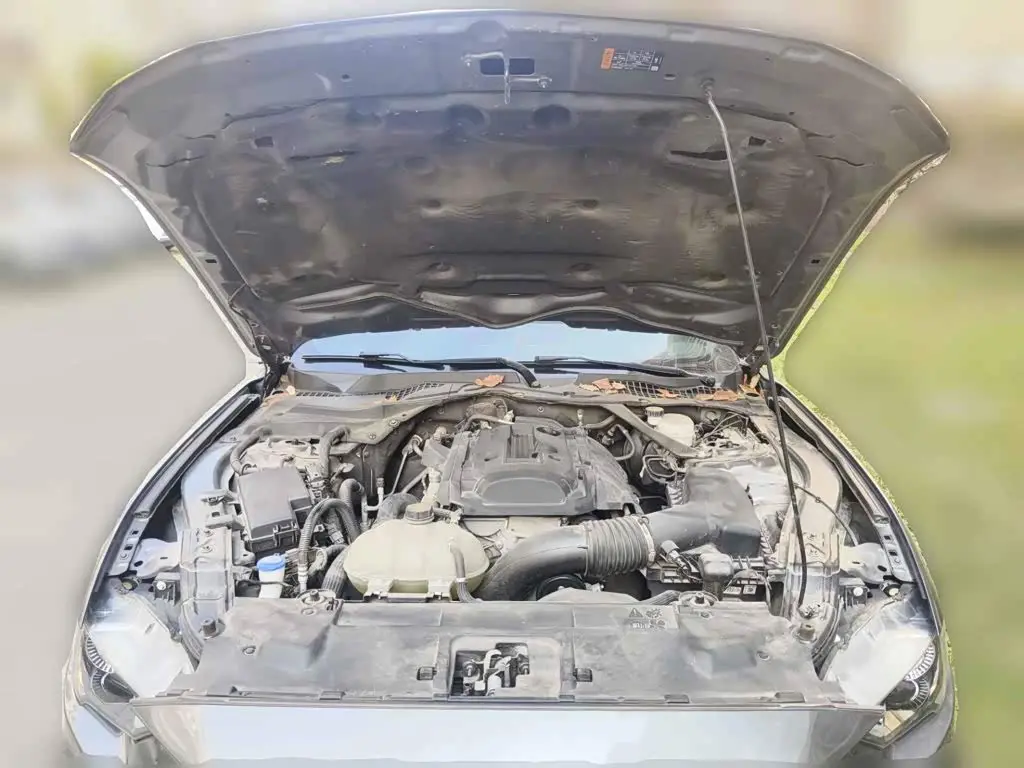 Ford Mustang 2022 — Photo 3/13