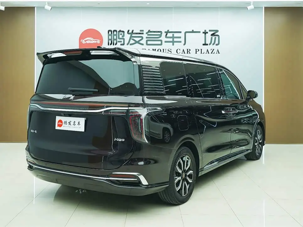 Hongqi HQ9 2024 — Photo 18/18