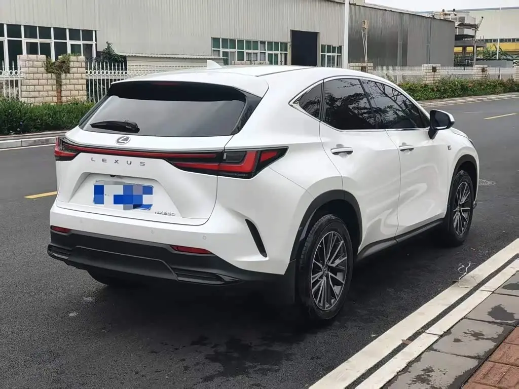 Lexus NX 2022 — Photo 9/9