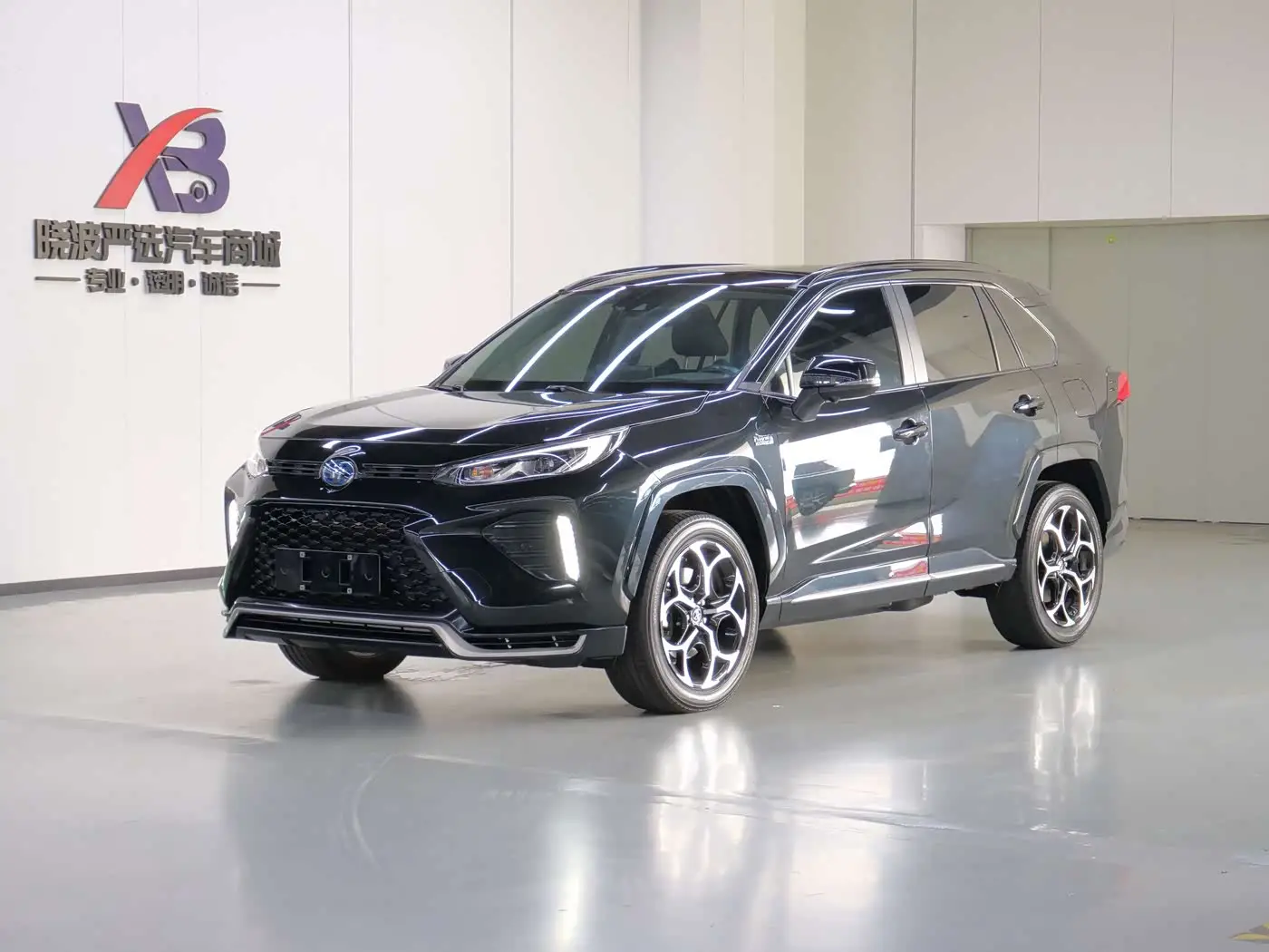 Toyota Wildlander New Energy, 2021