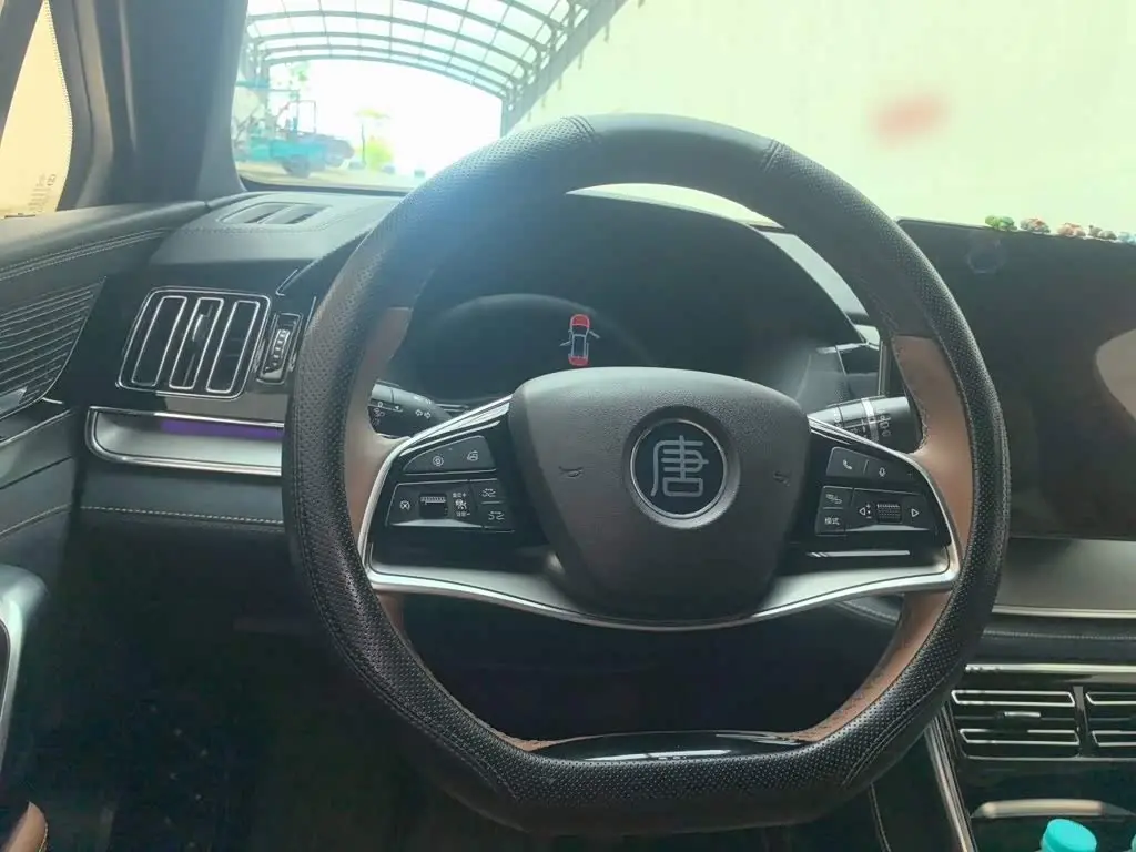 BYD Tang New Energy 2022 — Photo 11/20