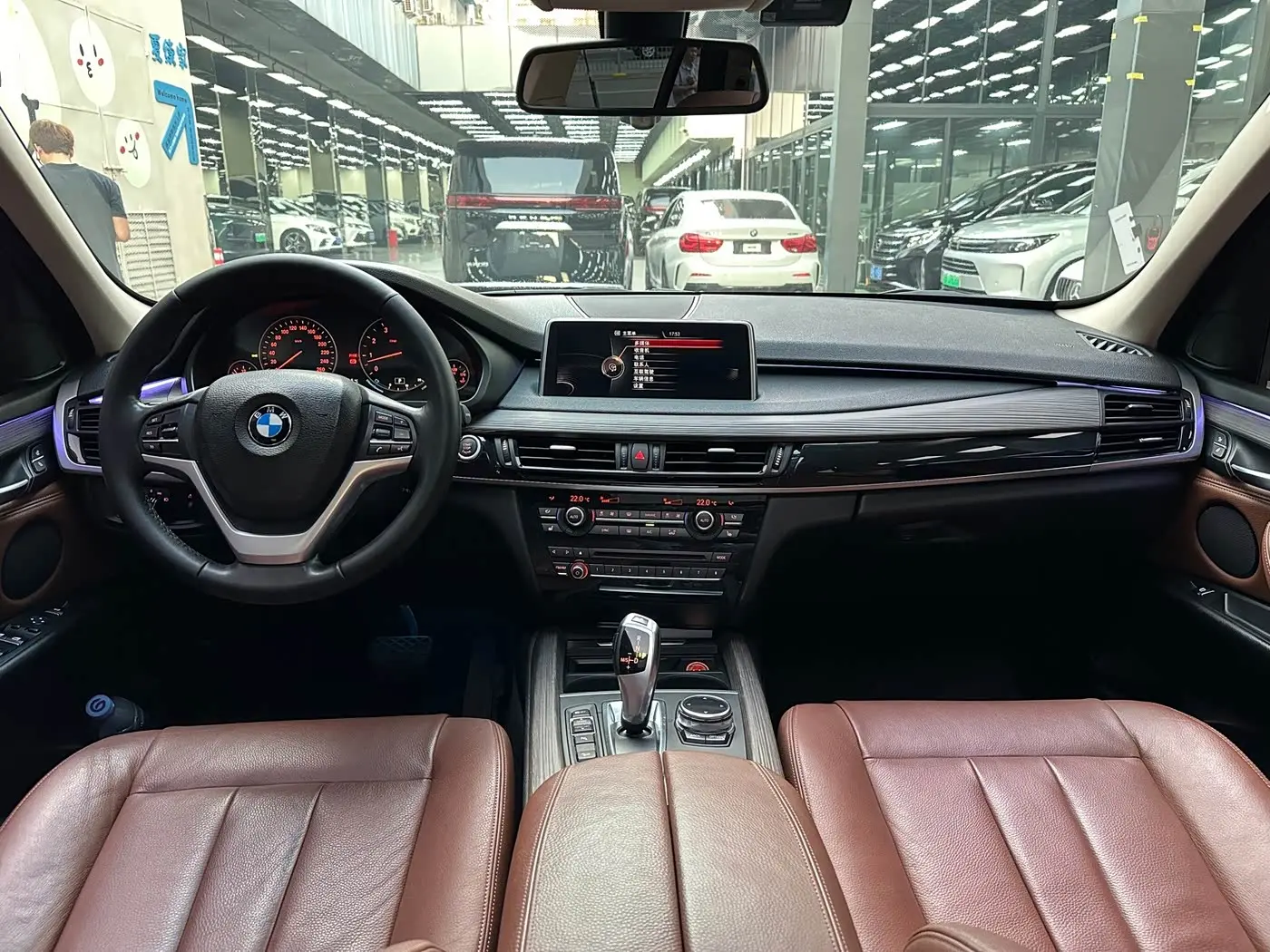 BMW X5 2015 — Şəkil 10/19