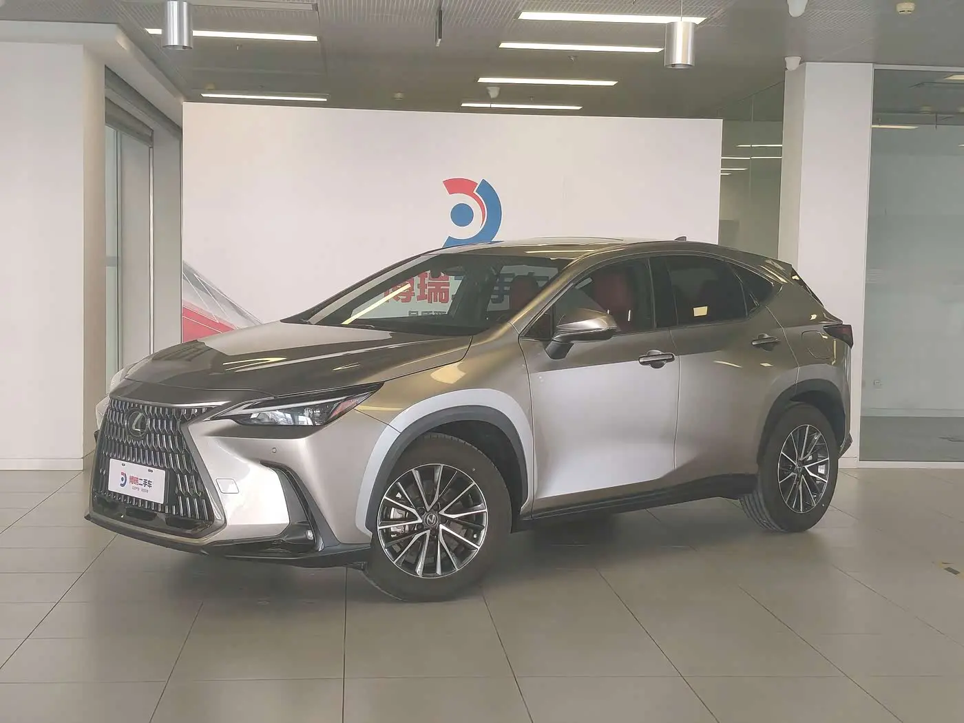 Lexus NX New Energy 2022 — Фото 1/20