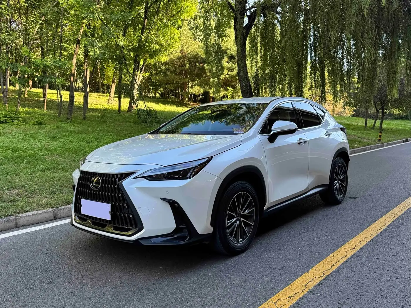 Lexus NX, 2024