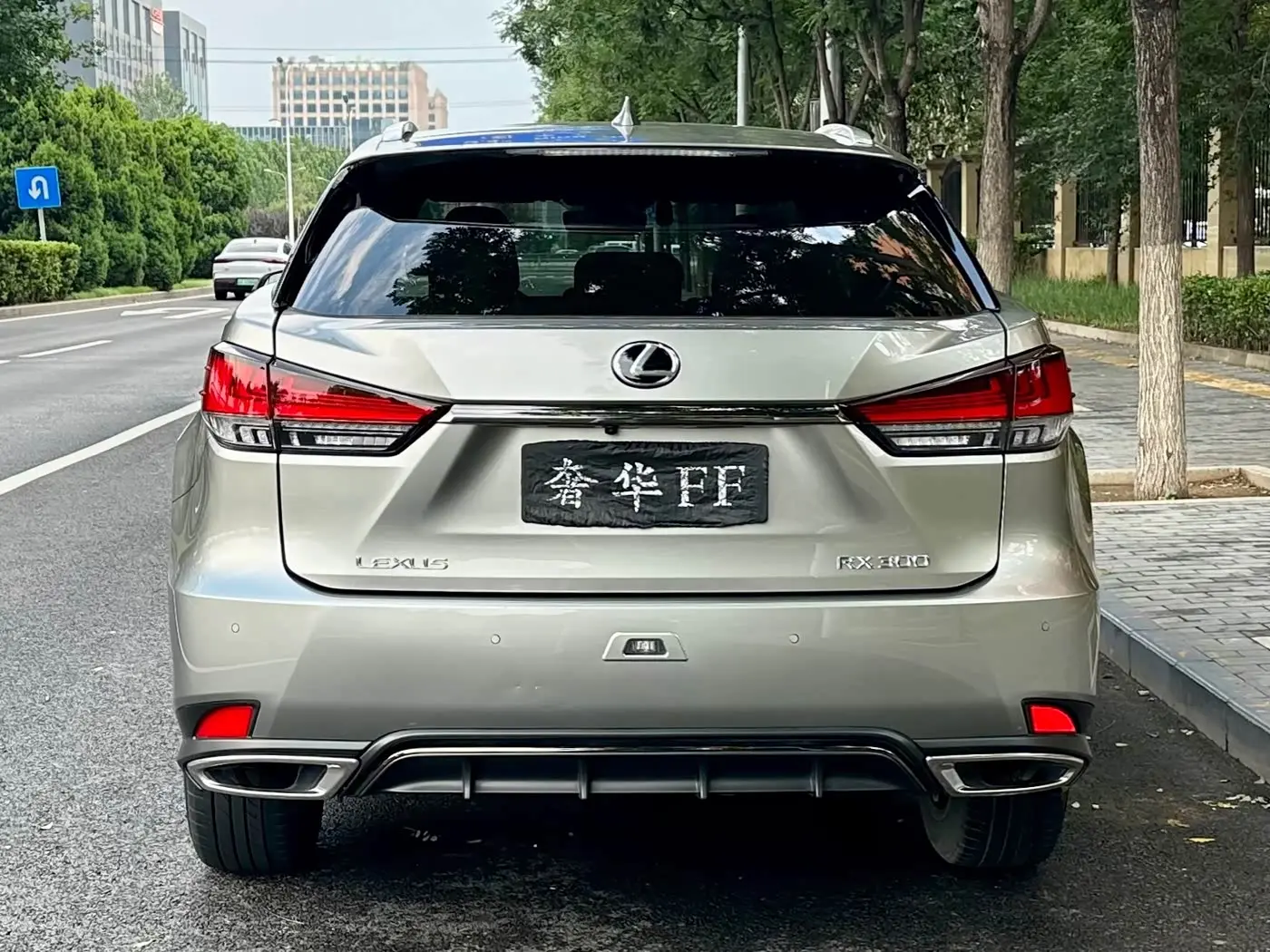 Lexus RX 2021 — Photo 4/15