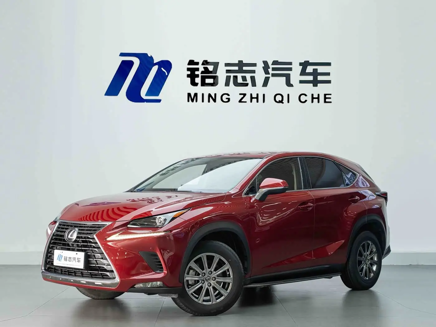 Lexus NX 2020 — Фото 2/17