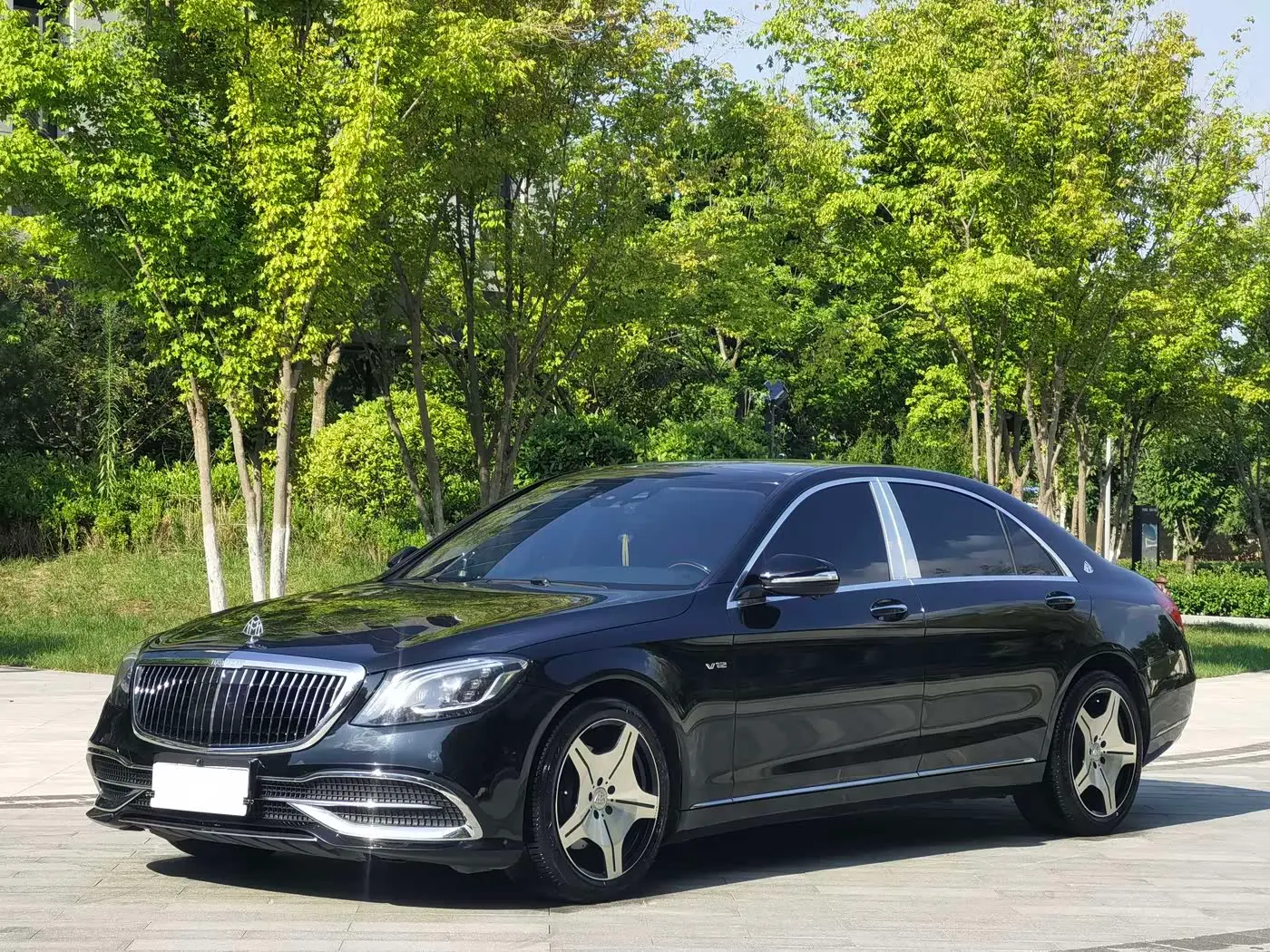 Mercedes-Benz S-Class 2016 — Photo 1/16