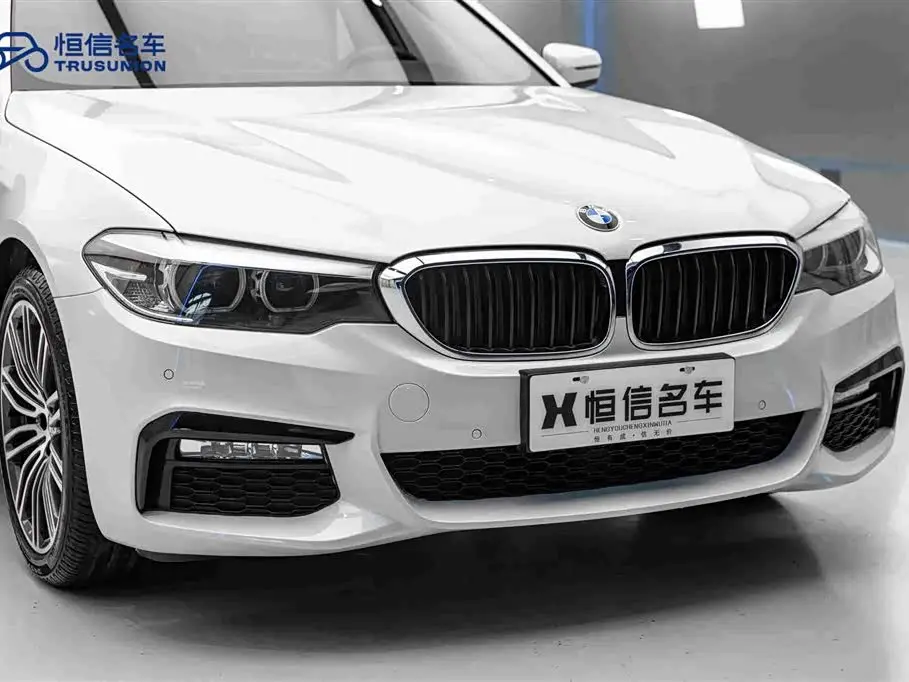 BMW 5 Series 2019 — Photo 9/20