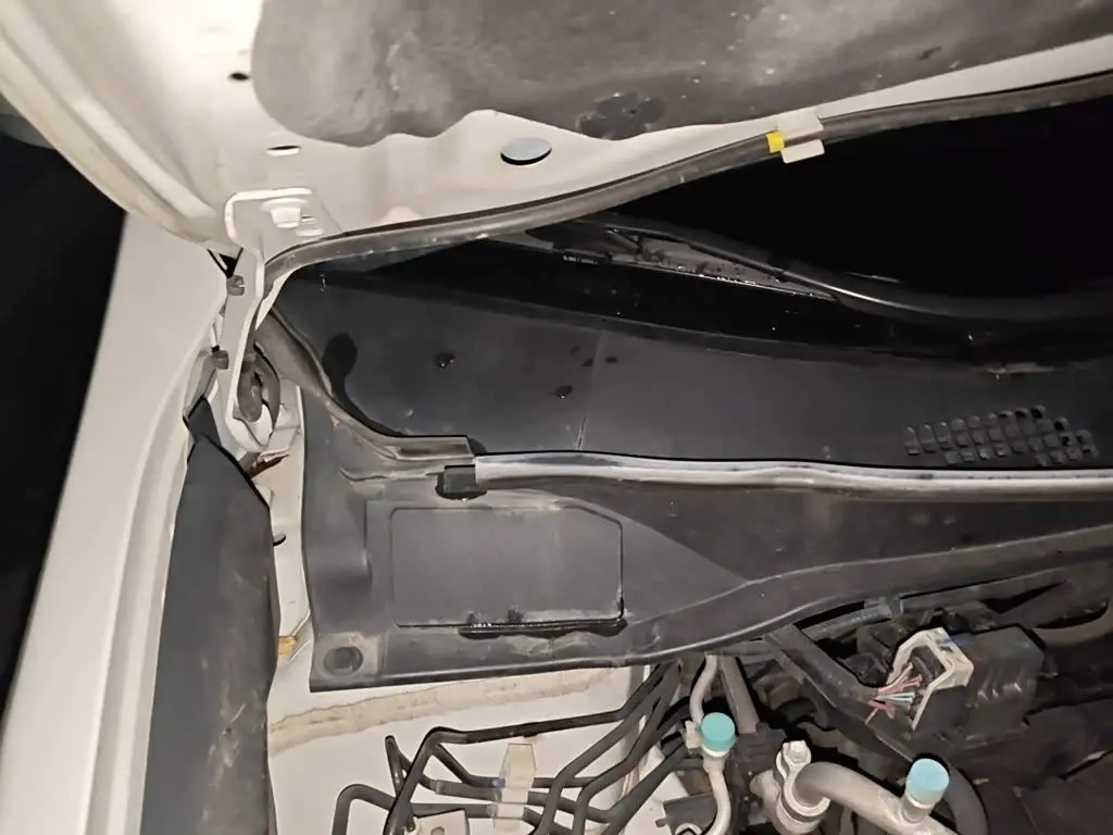 Honda Elysion 2019 — Photo 20/20
