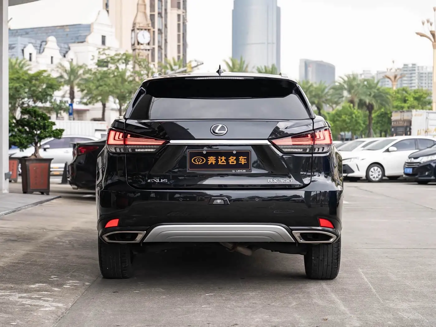 Lexus RX 2022 — Photo 5/20