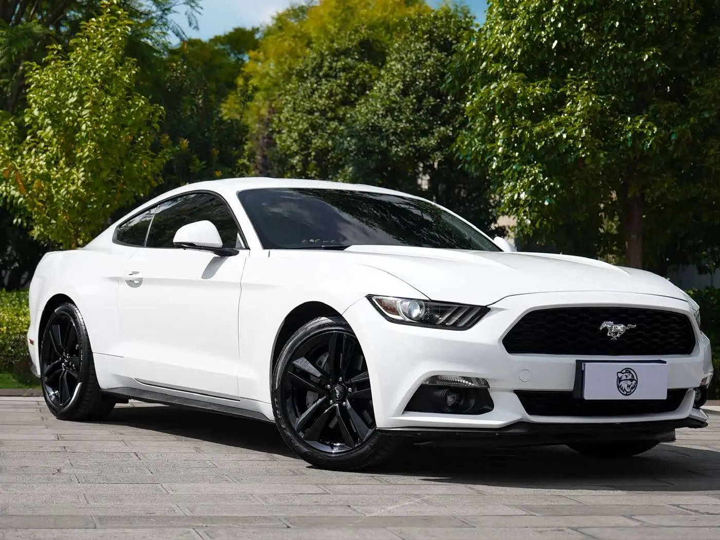 Ford Mustang 2017 — Photo 3/14
