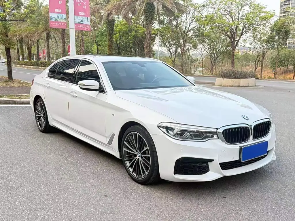 BMW 5 Series 2020 — Photo 2/10