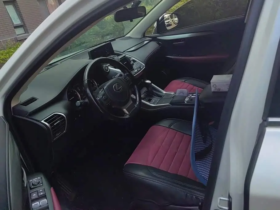 Lexus NX 2021 — Photo 9/16