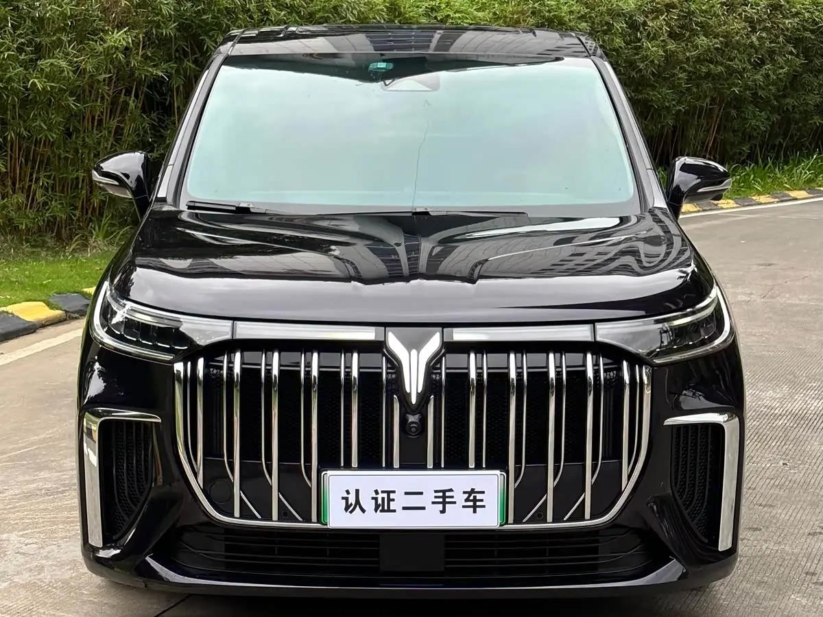 Voyah Auto Voyah Dreamer 2024 — Photo 2/16