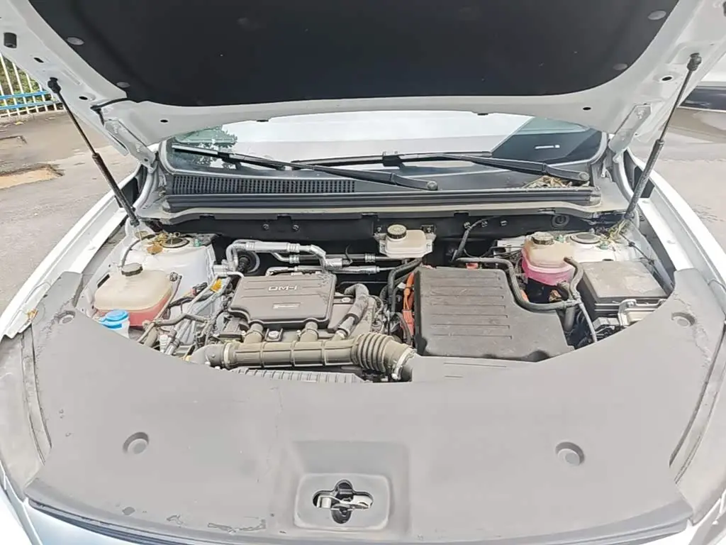 BYD Song Pro New Energy 2025 — Photo 20/20