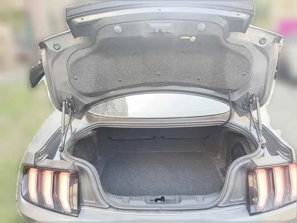 Ford Mustang 2022 — Photo 5/13