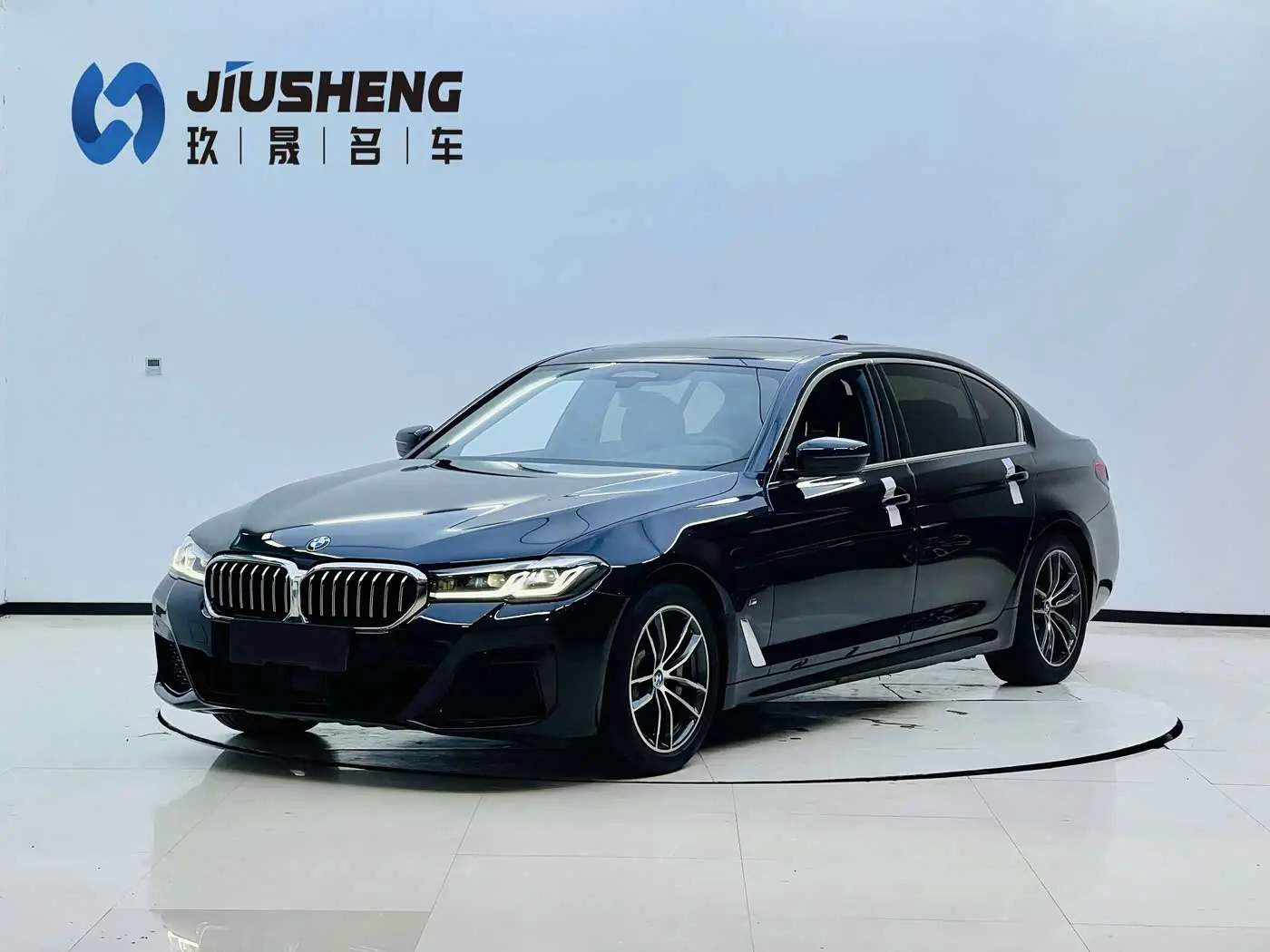 BMW 5 Series New Energy 2021 — Photo 1/17