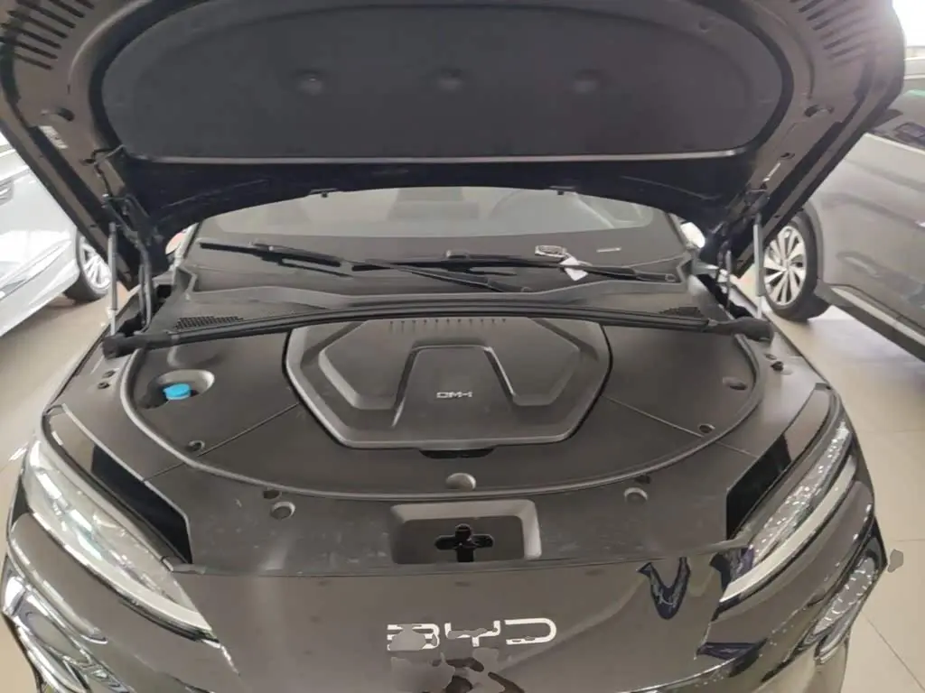 BYD Song PLUS PHEV 2024 — Фото 15/19
