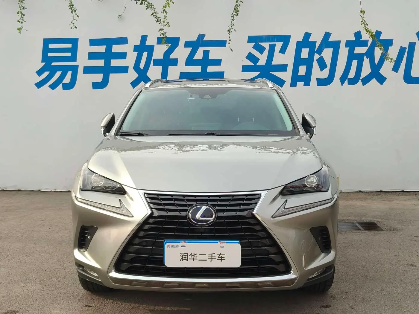 Lexus NX 2021 — Фото 2/16