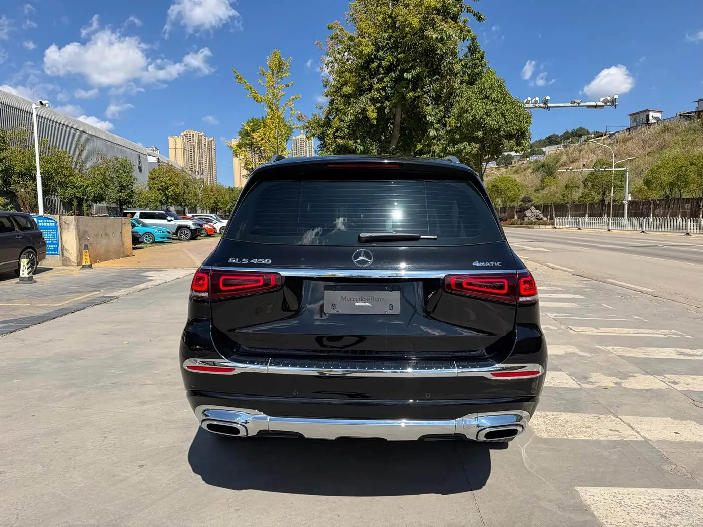 Mercedes-Benz GLS 2021 — Фото 11/12