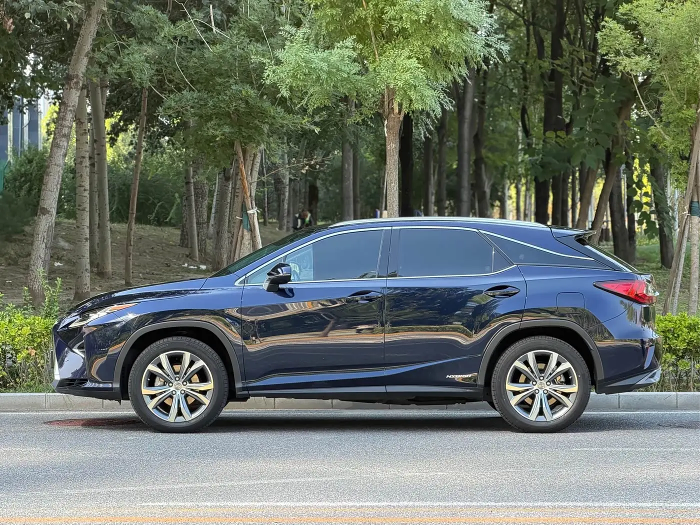 Lexus RX 2017 — Photo 3/20