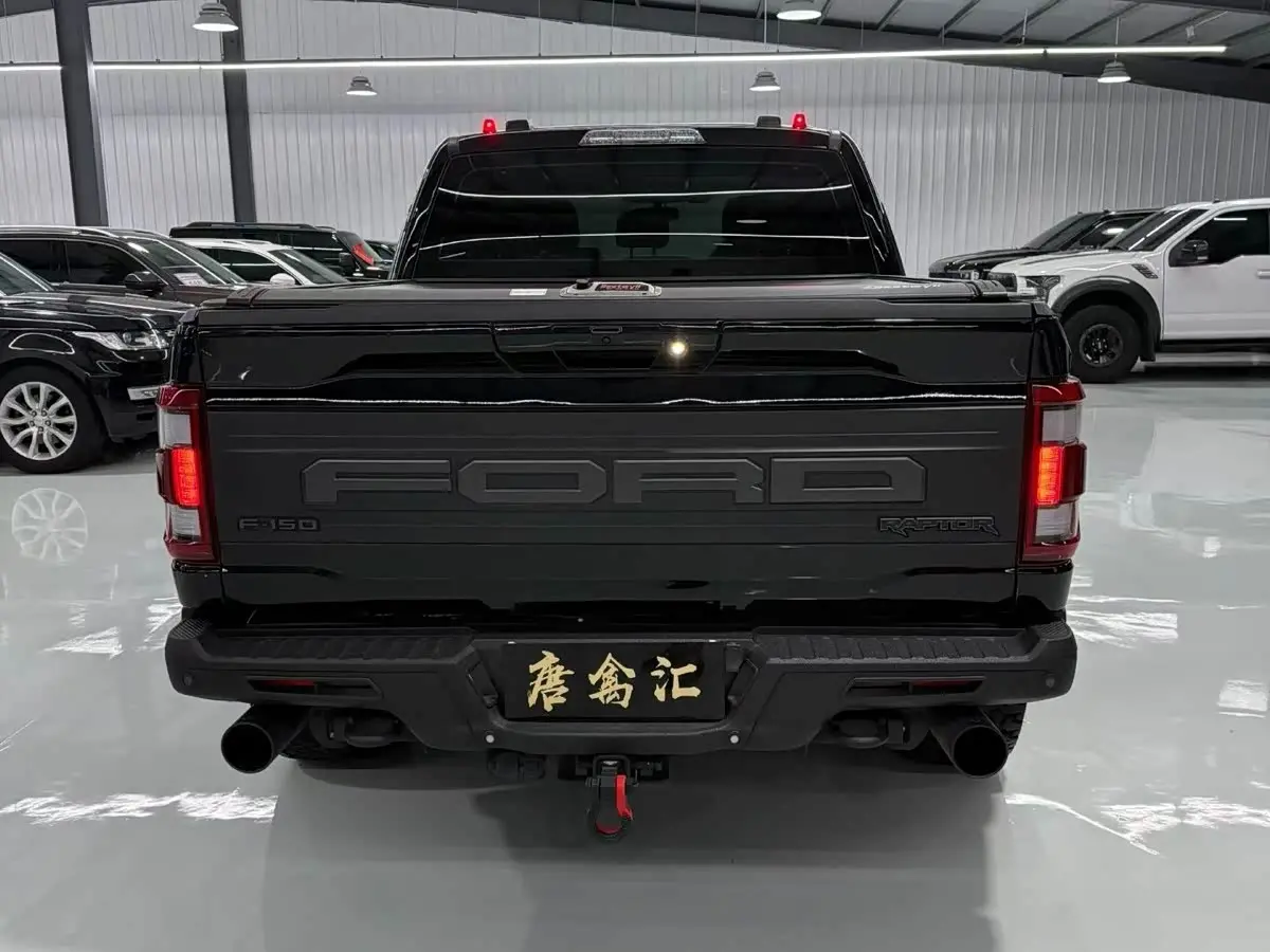 Ford F-150 Raptor 2023 — Фото 8/9