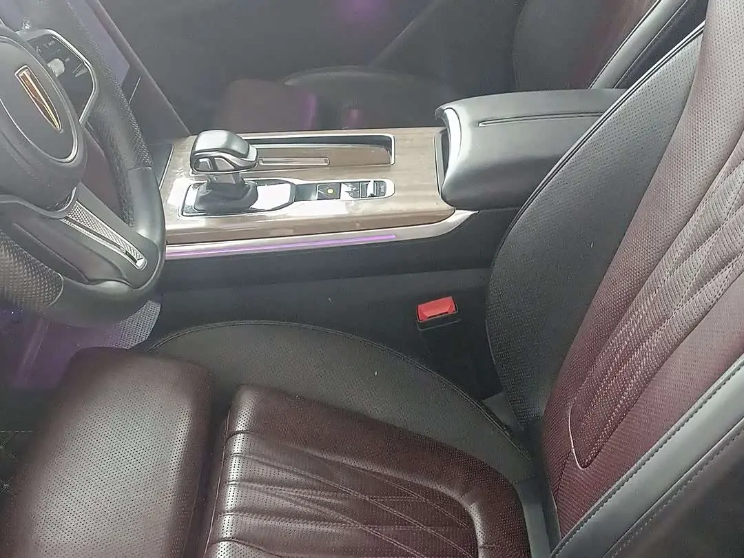 Hongqi HS7 2023 — Photo 9/15