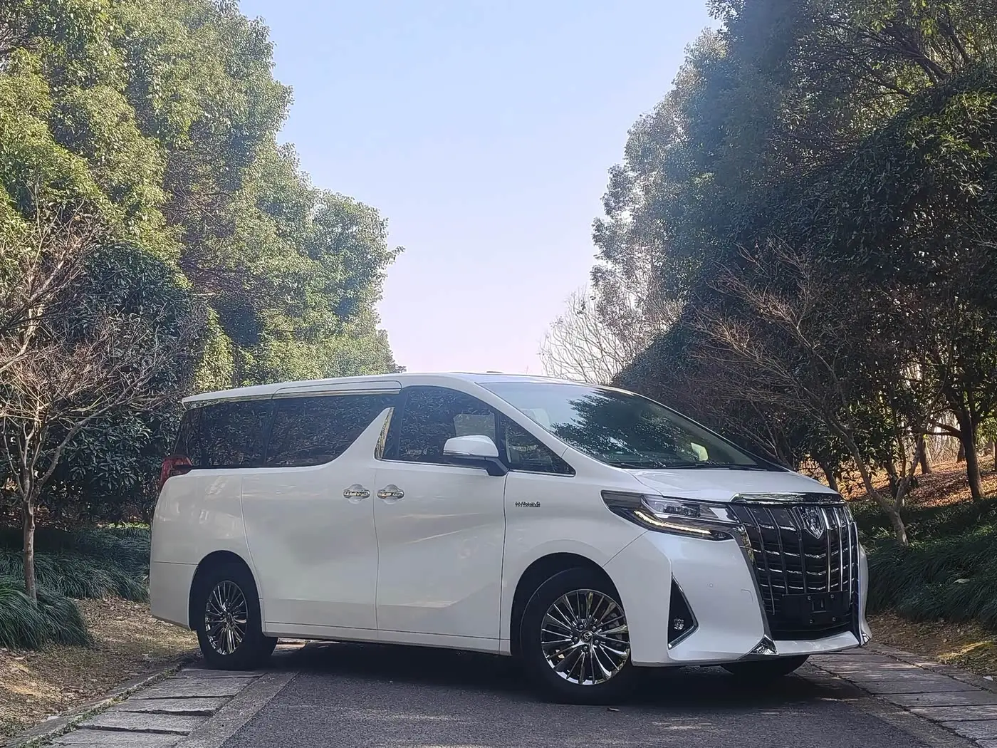 Toyota Alphard 2022 — Photo 2/20