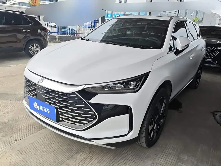 BYD Tang New Energy, 2024